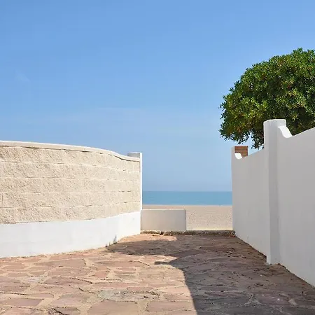 Rosas Denia